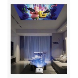 Lensun Çantalı Projeksiyon New 15